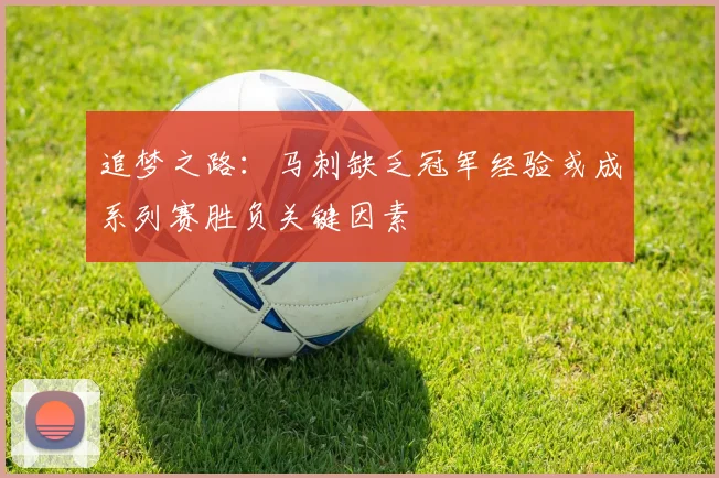 追梦之路：马刺缺乏冠军经验或成系列赛胜负关键因素